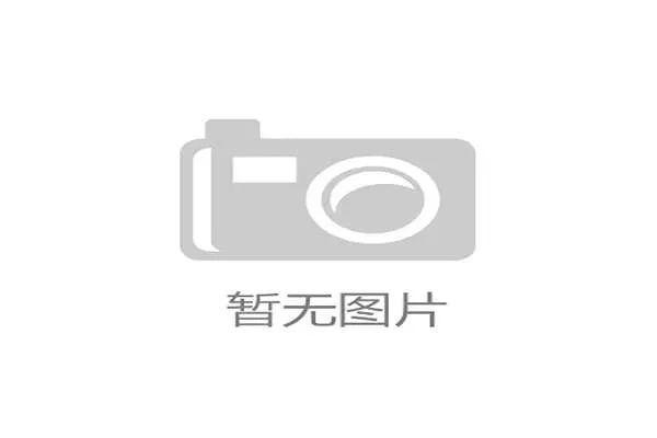 比利时争冠核心球员盘点