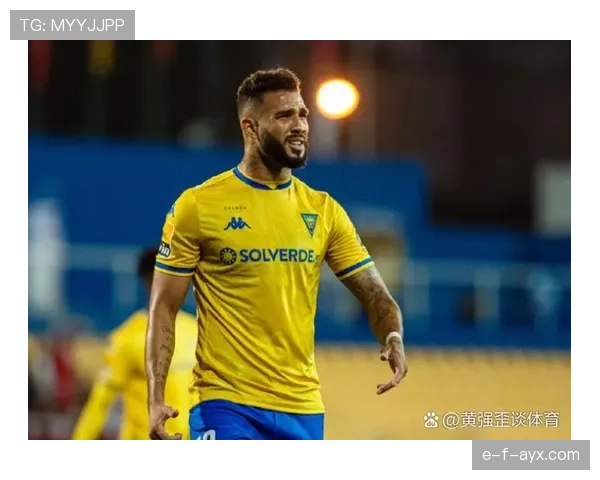 巴雷拉组织能力助力提升国家治理效率趋势分析 巴雷拉组织能力助力提升国家治理效率趋势分析